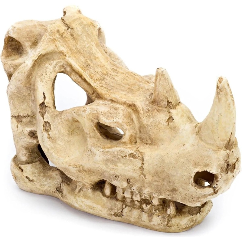 Penn-Plax Rhino Skull Reptile Enclosure Decor