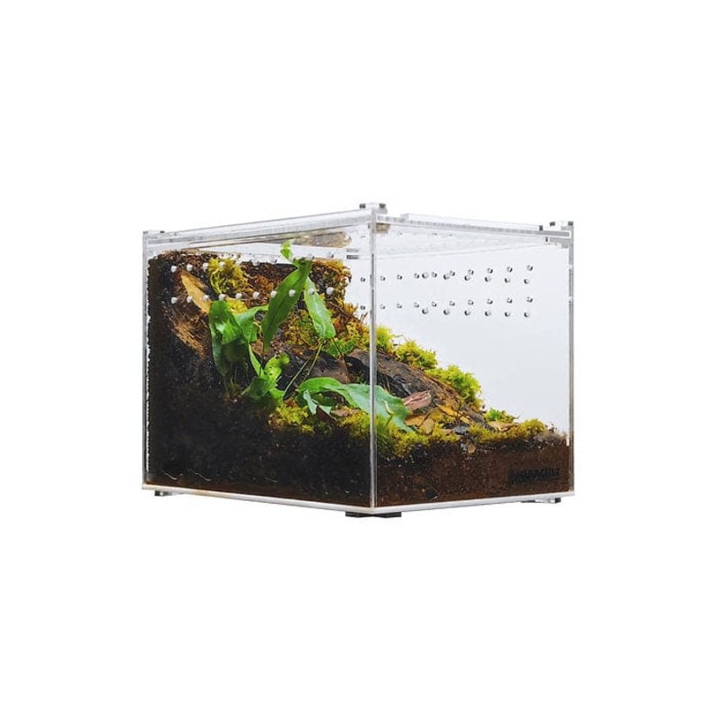 Acrylic Enclosure Clear Top Reptile Habitat Terrarium cage for Terrestrial Arboreal Tarantula