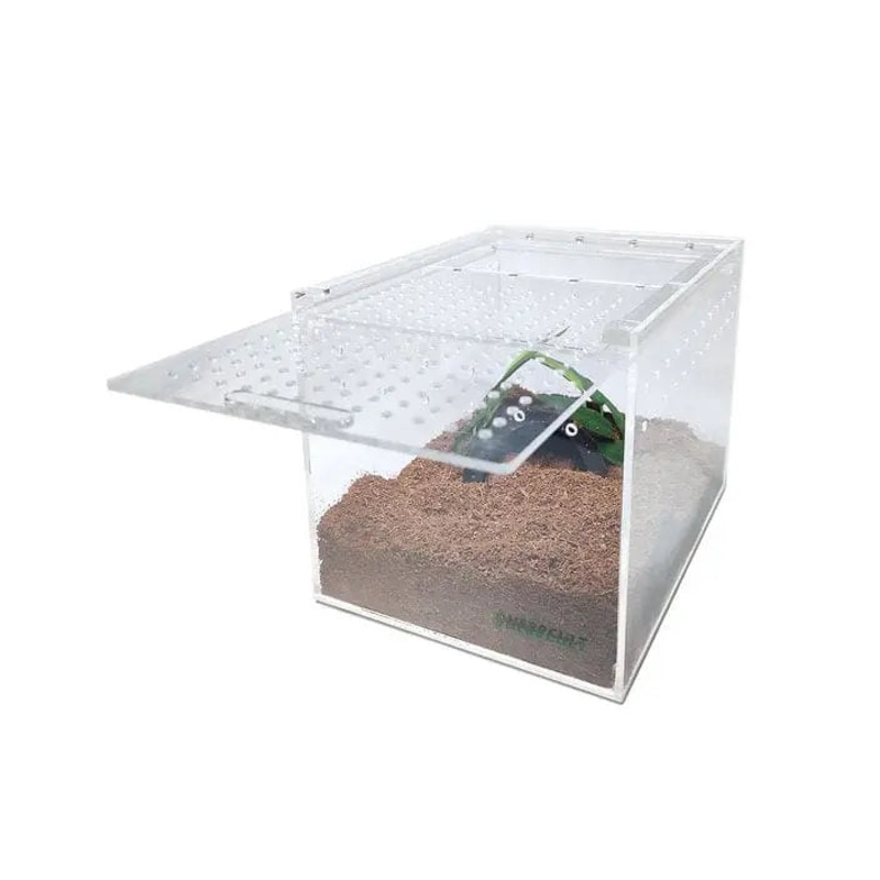 Acrylic Enclosure Medium Flat Reptile Habitat Terrarium cage for Terrestrial Arboreal Tarantula