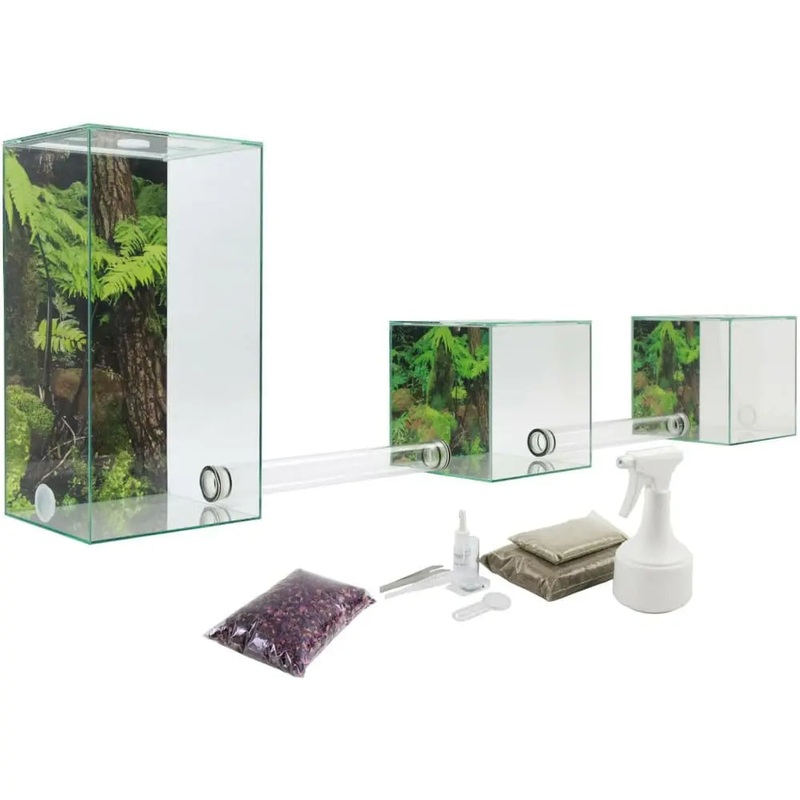 ANTCUBE  Starter Set for Leaf Cutter ants  Large