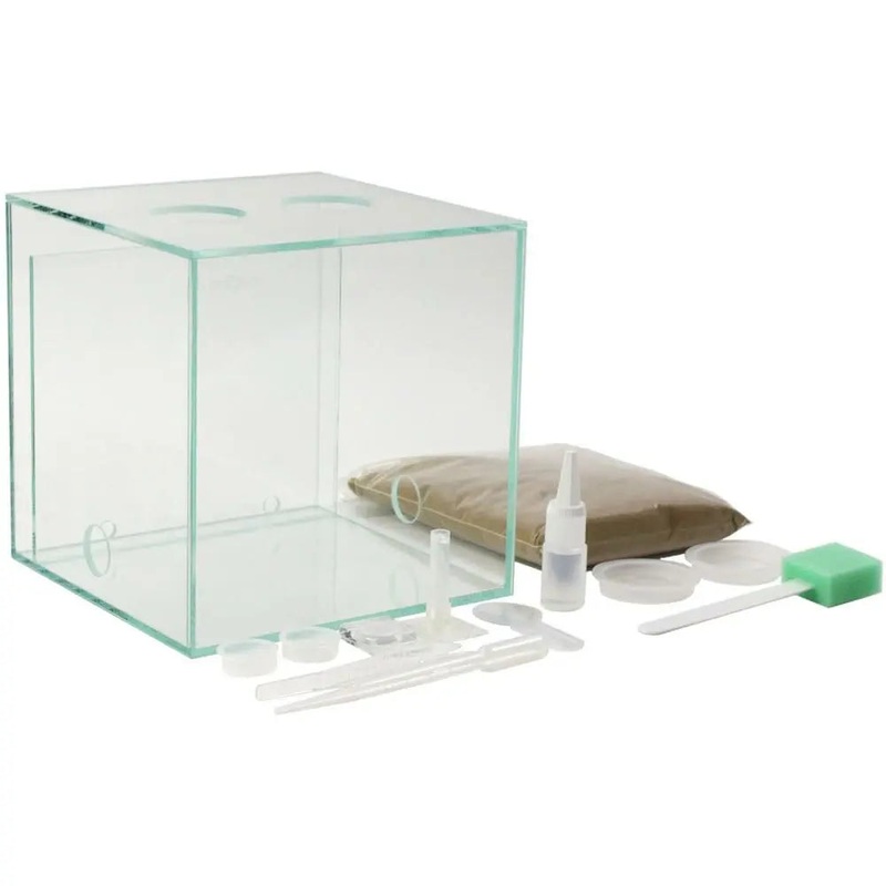 ANTCUBE Starter Set L  2020cm  Combi