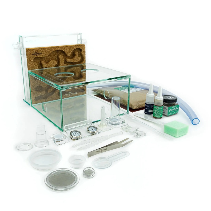 ANTCUBE Starter Set L  2020cm  Cork