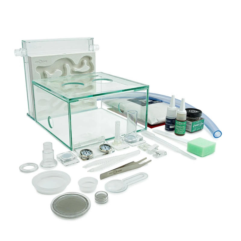 ANTCUBE Starter Set L  2020cm  Gypsum