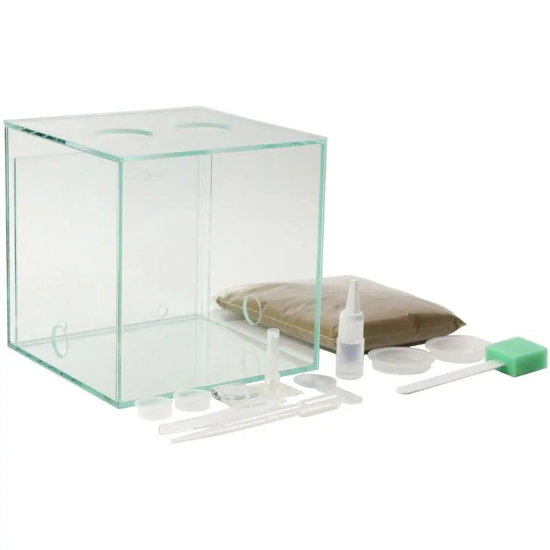 ANTCUBE Starter Set S  2020cm  Combi