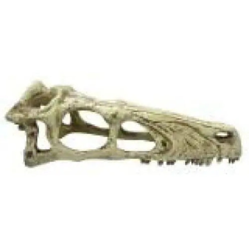 Komodo Raptor Skull Reptile Hideout Raptor Skull Tan 1ea