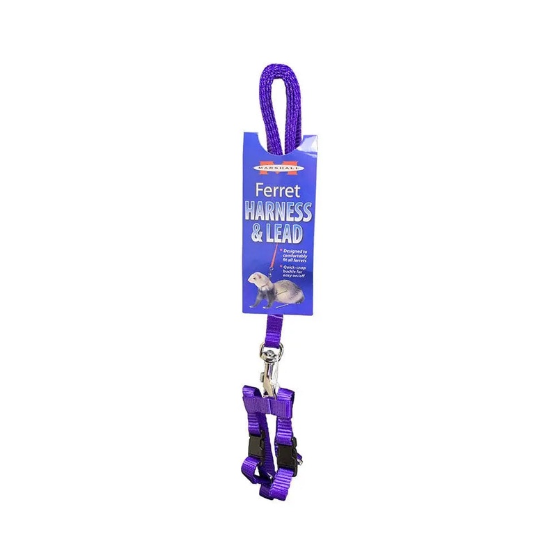 Marshall Harness & Lead Set for Ferret Purple
