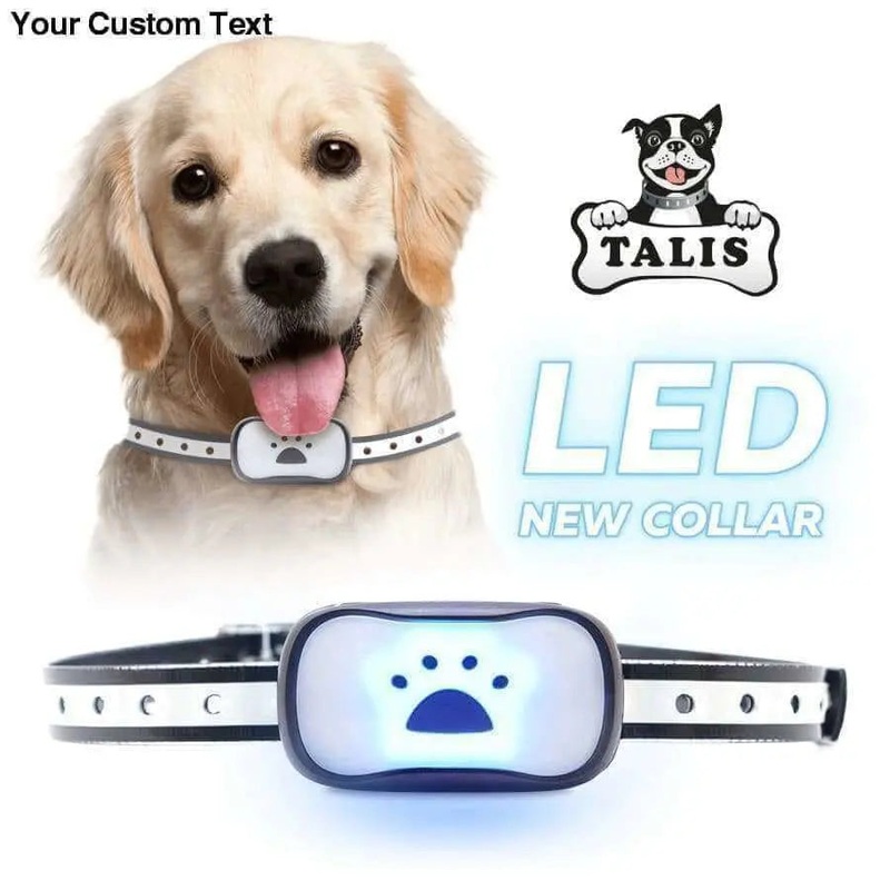 Collar Dog Bark Anti No Barking Shock Training Pet Control Rechargeable Small