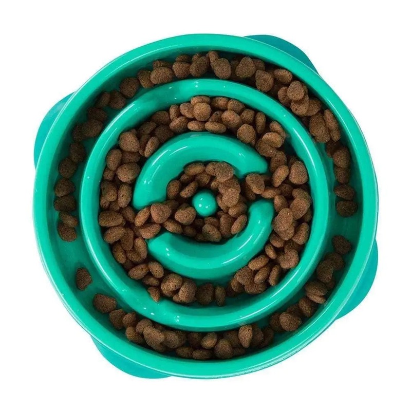 Outward Hound Fun Feeder Slo-Bowl Mini for Dog Teal Color 1.4 Lbs