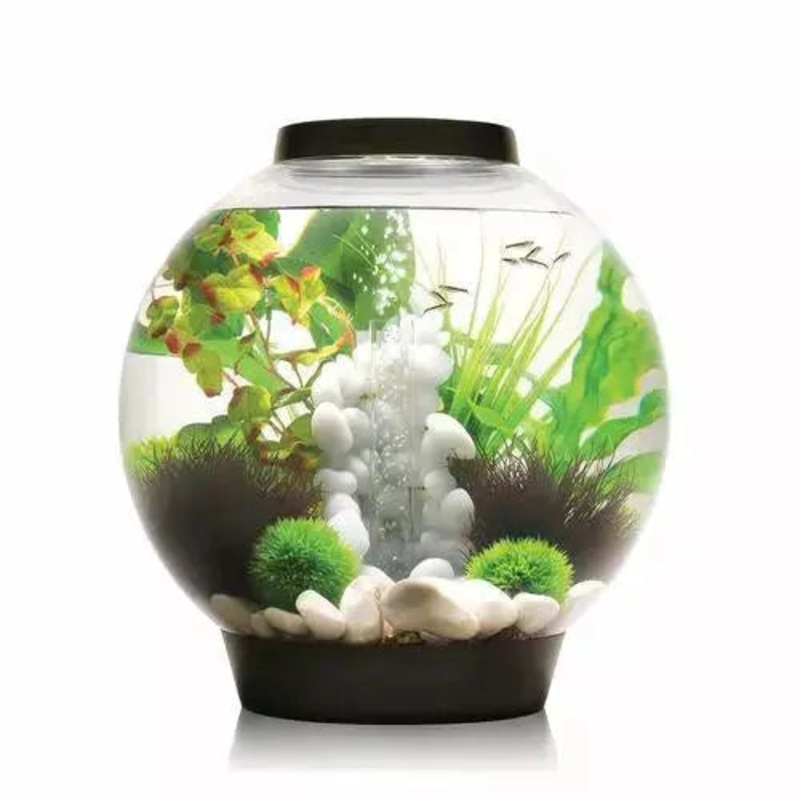 biOrb CLASSIC 30 Aquarium with Standard Light 8 gallon