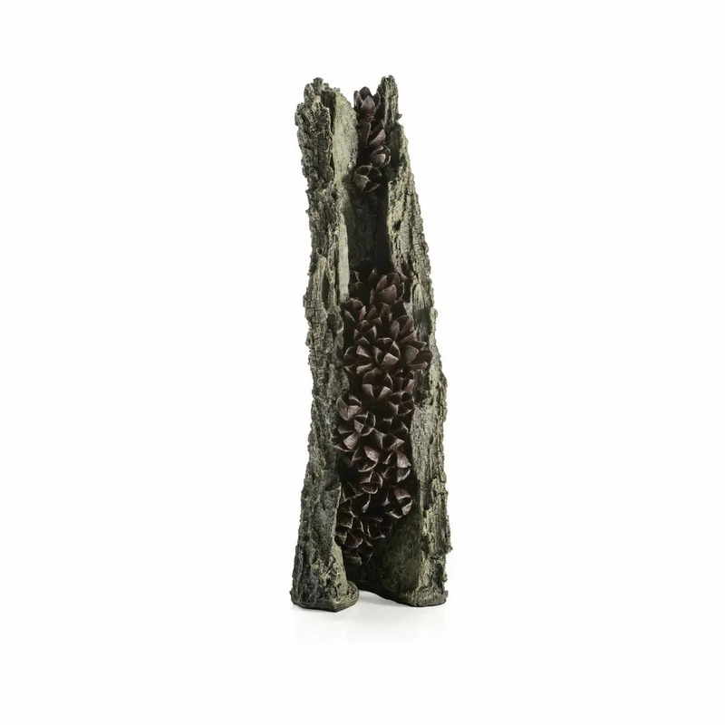 Biorb Earth Bark With Seedpod Reptile Terrarium Decor