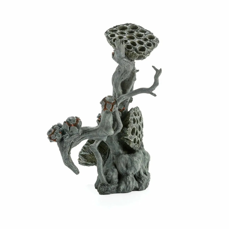 Biorb Earth  Lotus Seedpod on Root Large Reptile Terrarium Ornament