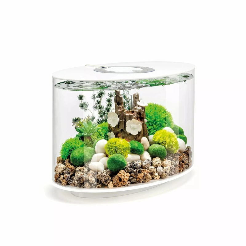 biOrb LOOP 15 Aquarium with Standard Light  4 gallon