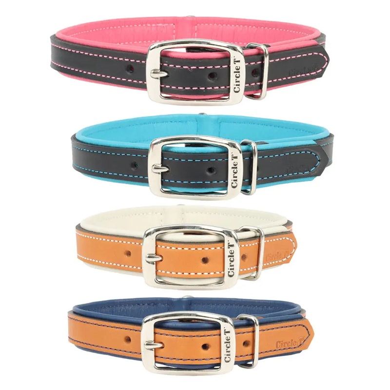 Circle T Double-Ply Fashion Leather Collar