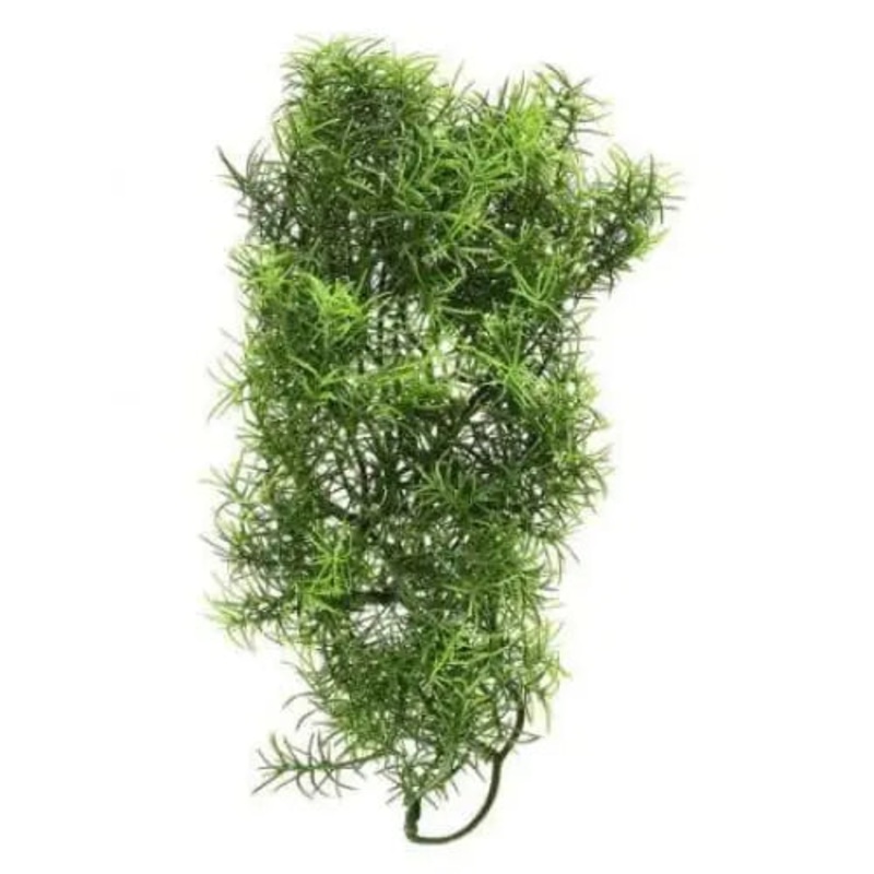 Zoo Med Casuarina Bush Plant Medium