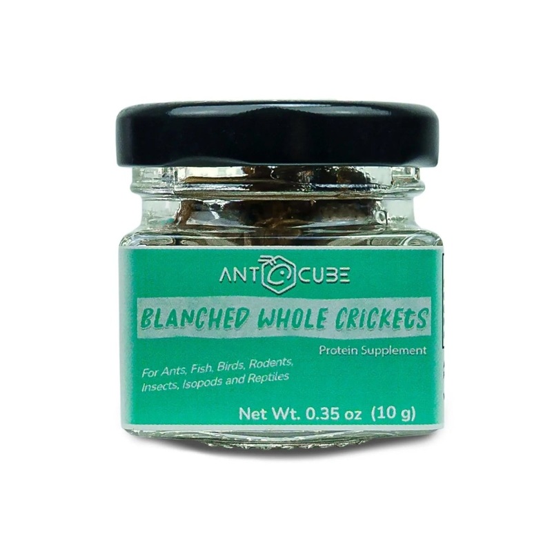 Antcube Blanched Whole Crickets