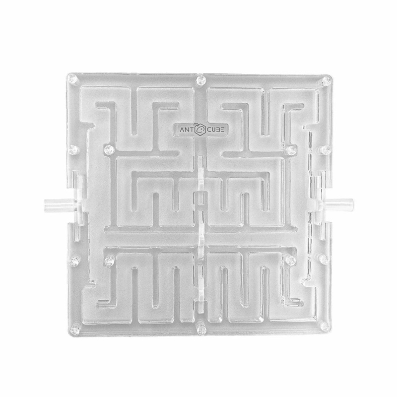 Ant Maze 2020|2020  M|2020  L