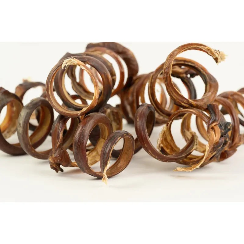 Pig Pizzle Springs Dog Chew Treats 40 Units