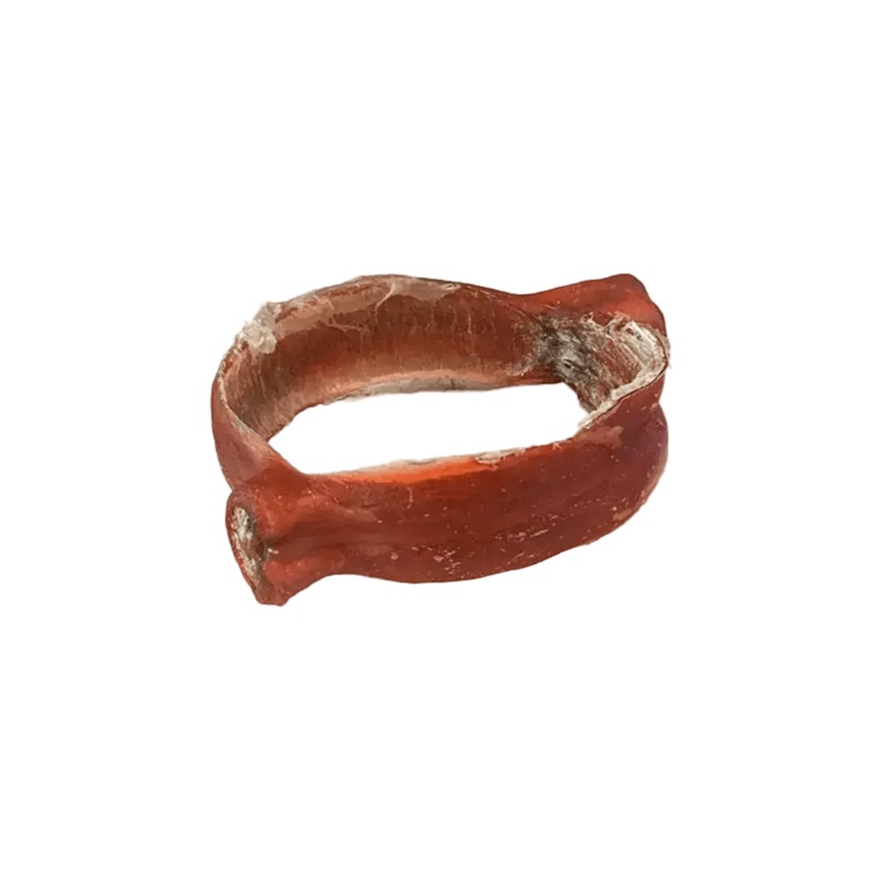 Ultimate Dog Chew Bundle