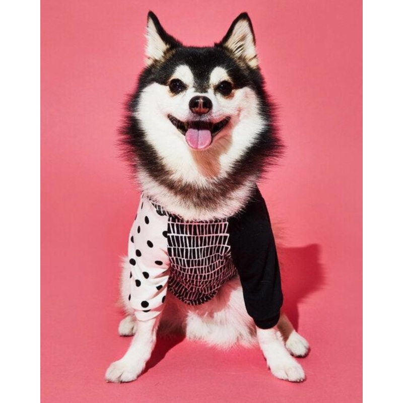 Geometric Print Dog T-Shirt (Made in the USA)