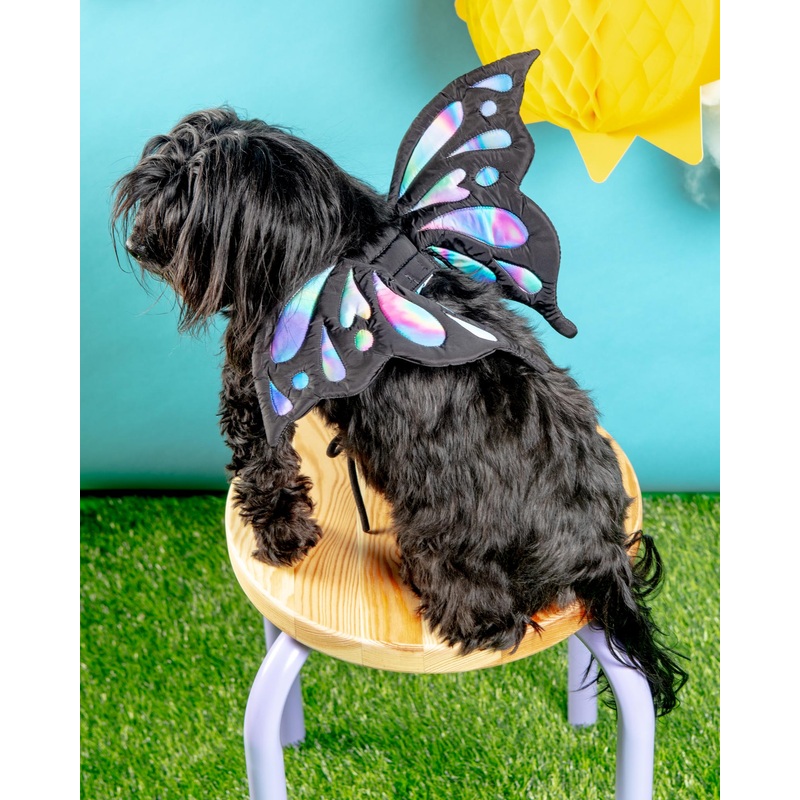 Adjustable Tie-On Butterfly Wings for Dogs