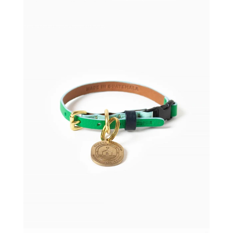 Brave Leather Cat Collar (Made in Guatemala)