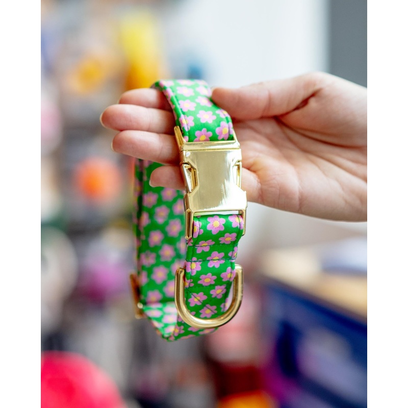 Flower Power Dog Collar (Made in the USA)