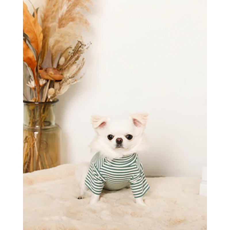 High Neck Striped Dog Shirt|Small|Medium|Large|X-Large