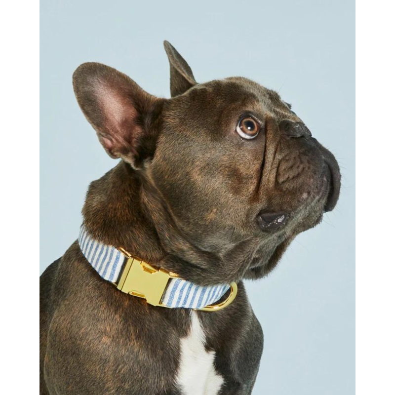 Lake Blue Stripe Dog Collar|X-Small|Small|Medium|Large