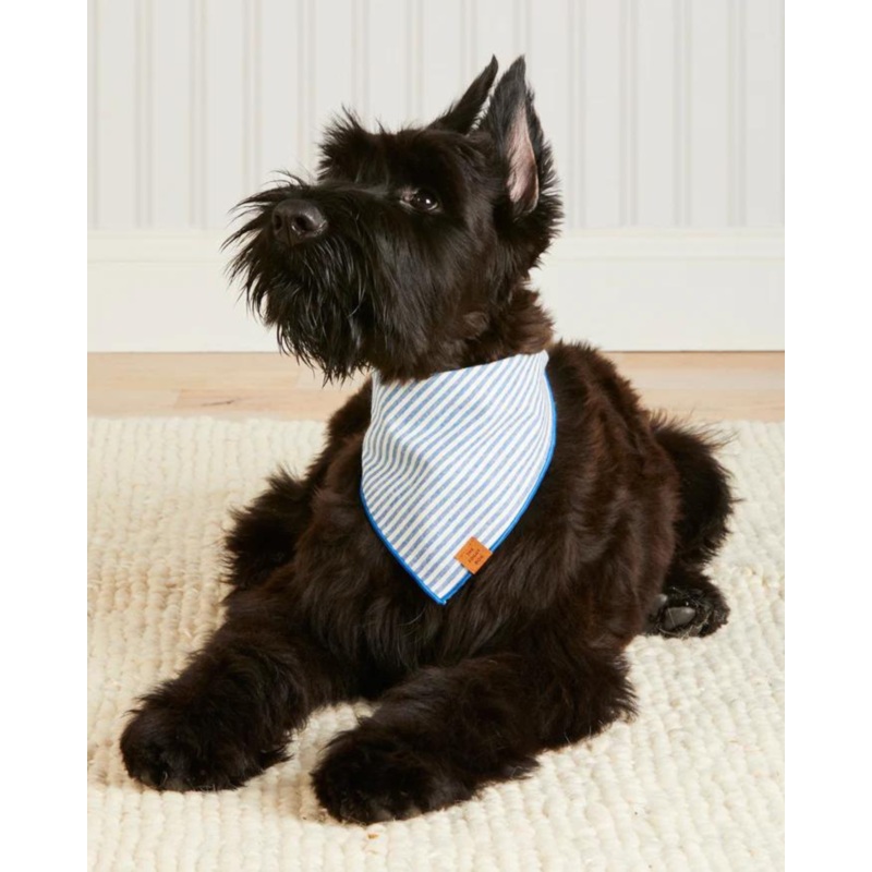 Lake Blue Stripe Spring Dog Bandana (Made in the USA)