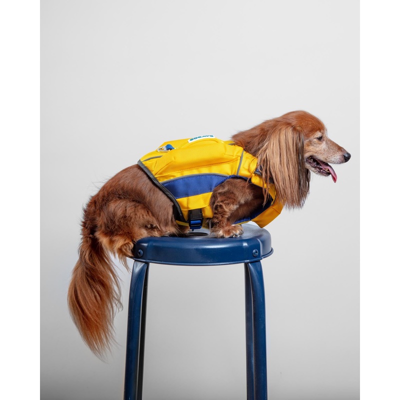 Monterey Bay Dog Life Jacket in Nautical Yellow