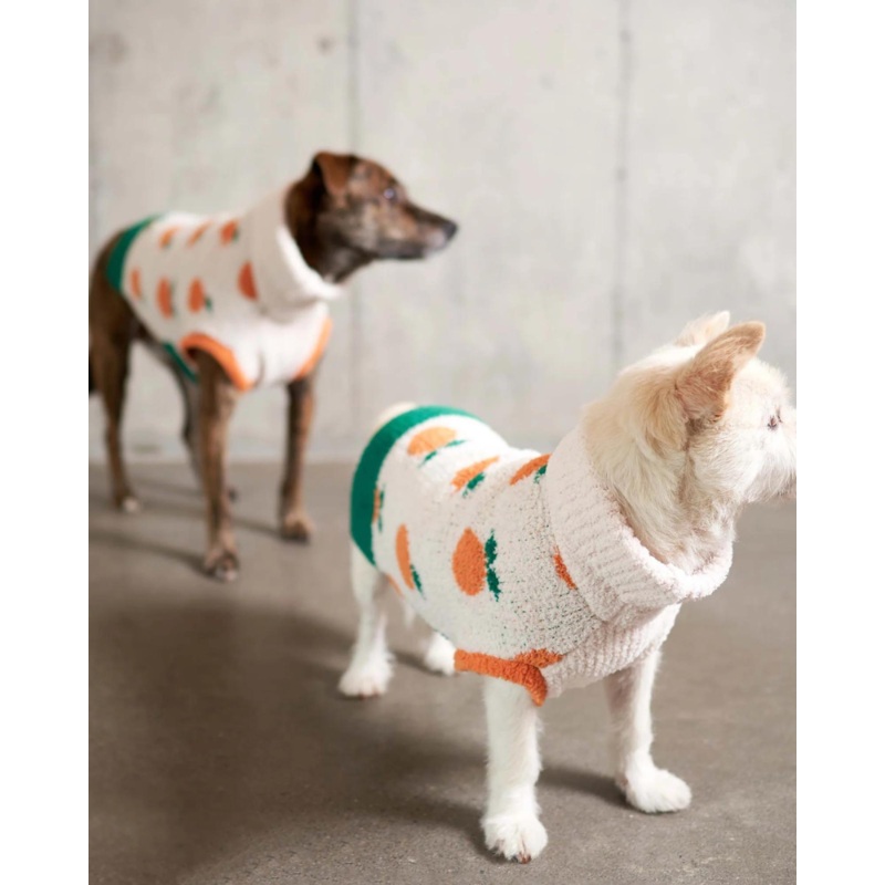 Orange Dog Sweater|Small|Medium|Large|X-Large|XX-Large