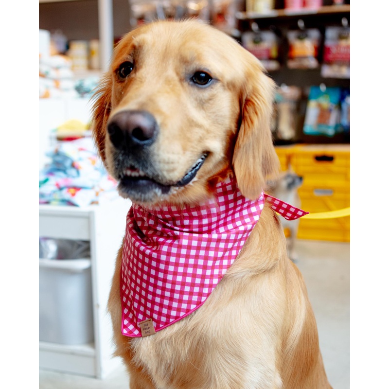 Raspberry Gingham Dog Bandana (Made in the USA) (FINAL SALE)