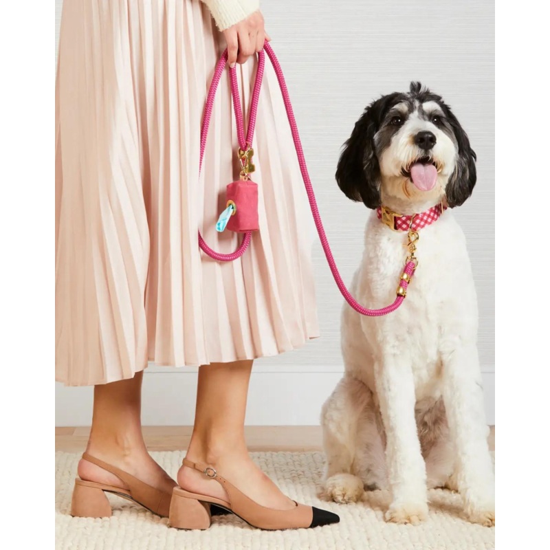 Raspberry Gingham Spring Dog Collar (Made in the USA)