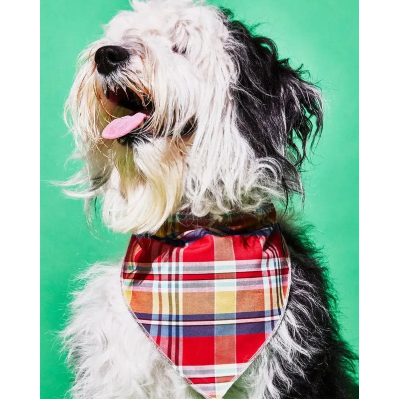 Reversible Plaid Dog Bandana (Made in the USA) (FINAL SALE)