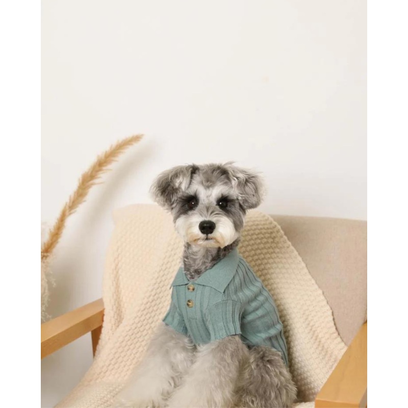 Rib Knit Dog Polo|Small|Medium|Large|X-Large