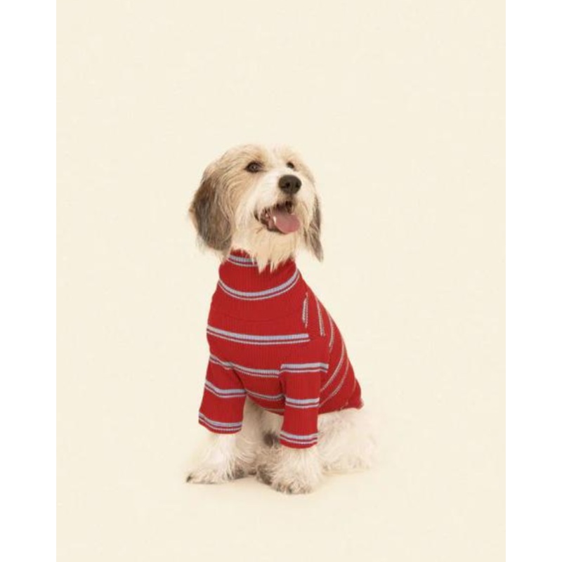 Star Shooter Pullover Dog Shirt