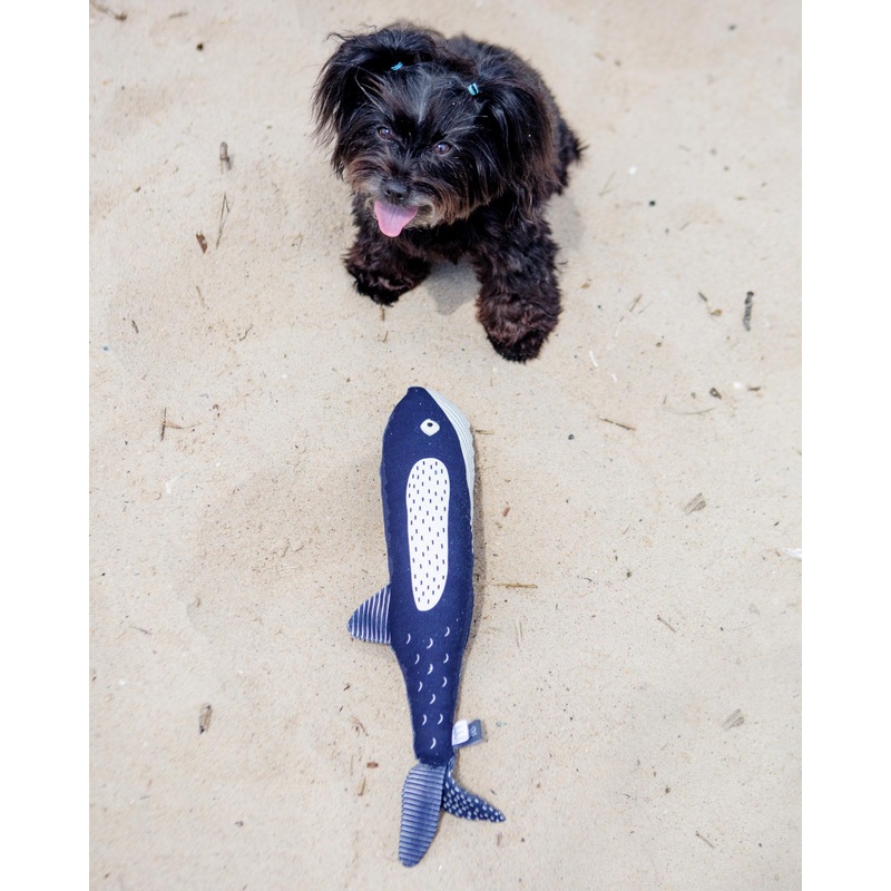 There She Blows Canvas Whale Dog Toy