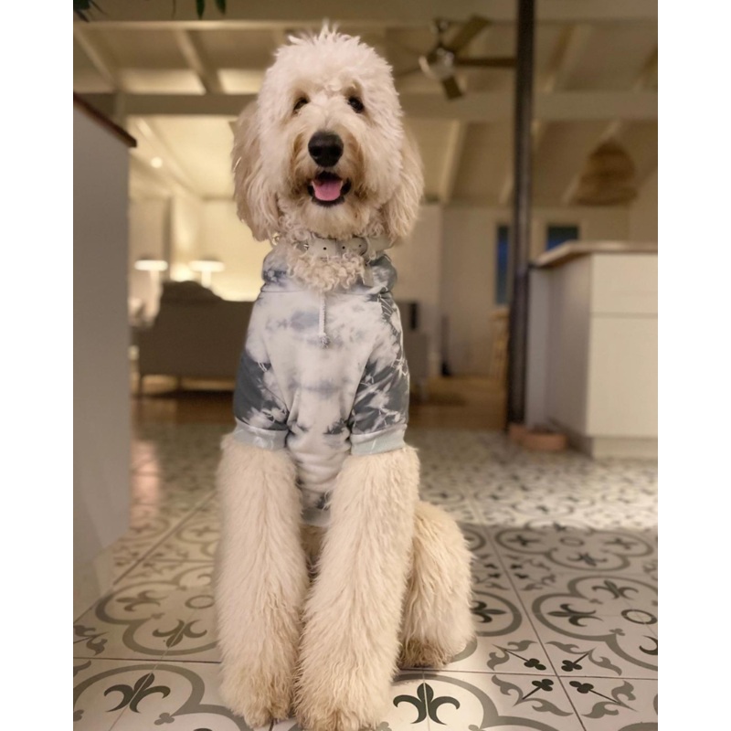 Tie Dye Dog Hoodie in Grey & White (FINAL SALE)