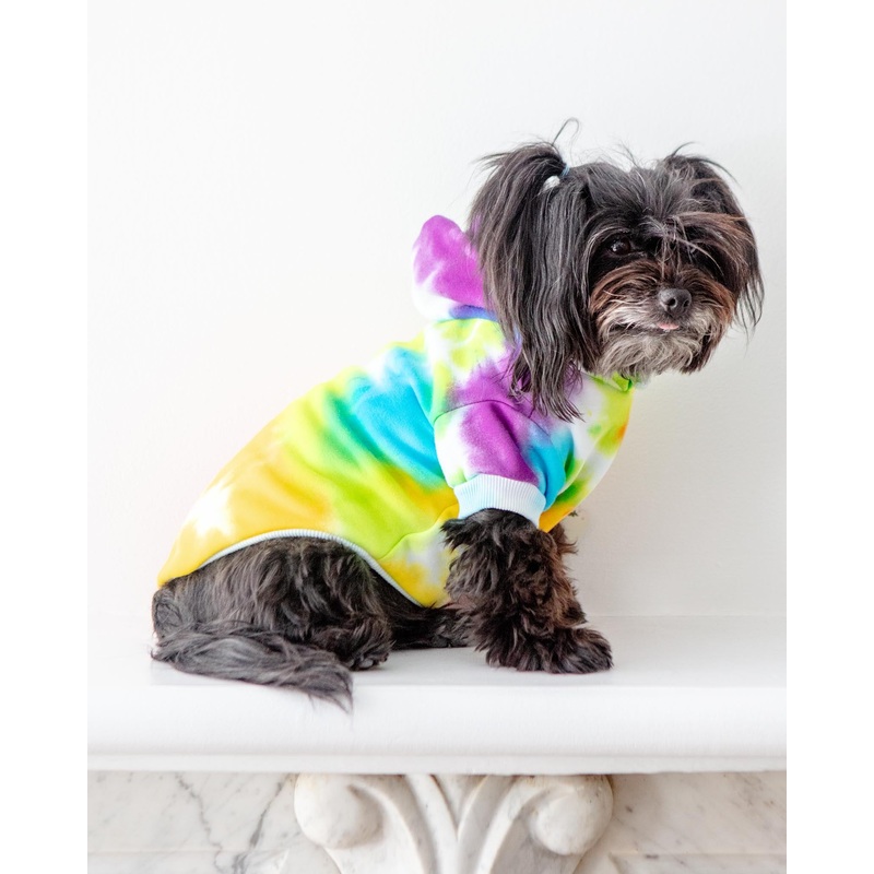 Tie Dye Dog Hoodie in Rainbow|Small|Medium|Large|X-Large|2X-Large|3X-Large|4X-Large|5X-Large