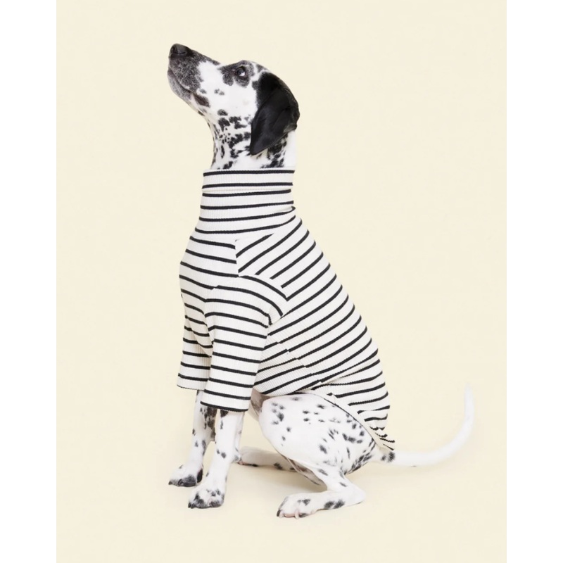 World’s Your Oyster Dog Pullover Shirt