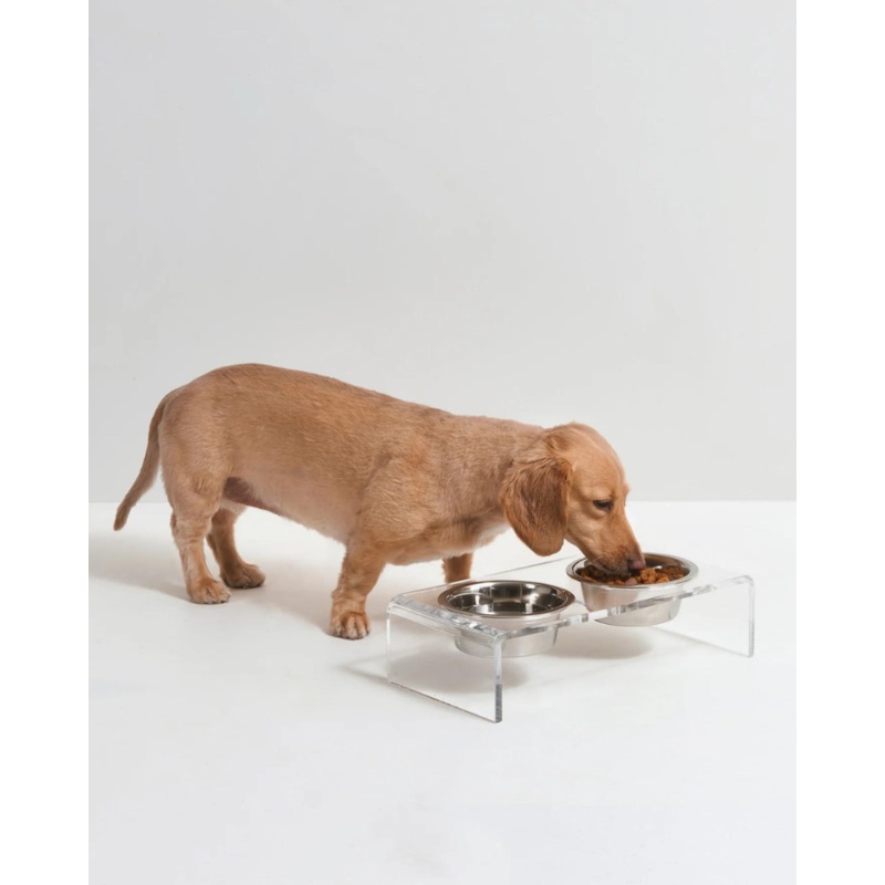 Clear Lucite Double Bowl Pet Feeder (Made in the USA) (Direct-Ship)