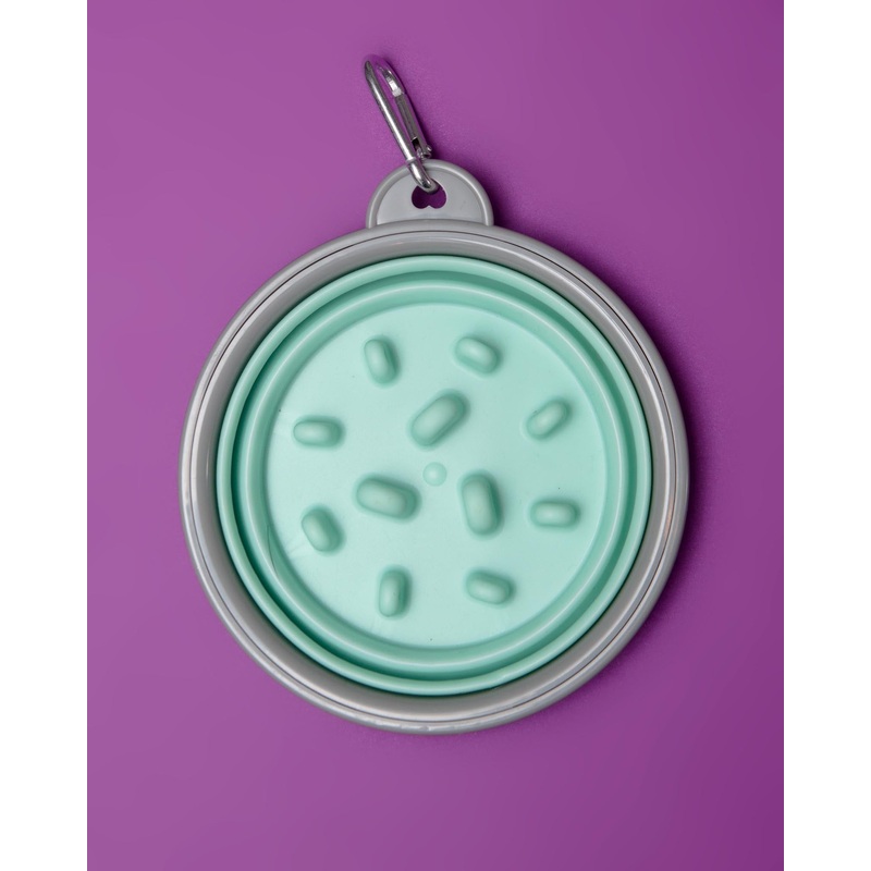 Collapsible Slow Feeder Dog Bowl