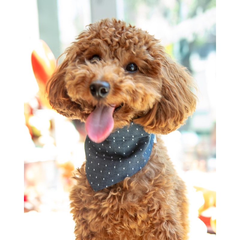 Denim Polka Dot Bandana (FINAL SALE)