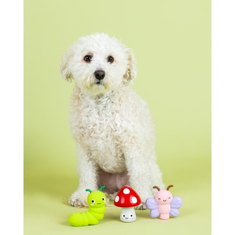 Keeping it Natural 3 Piece Squeaky Latex Dog Toy Set (FINAL SALE)