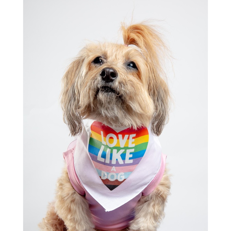 Love Like a Dog Pride Bandana|Small|Large