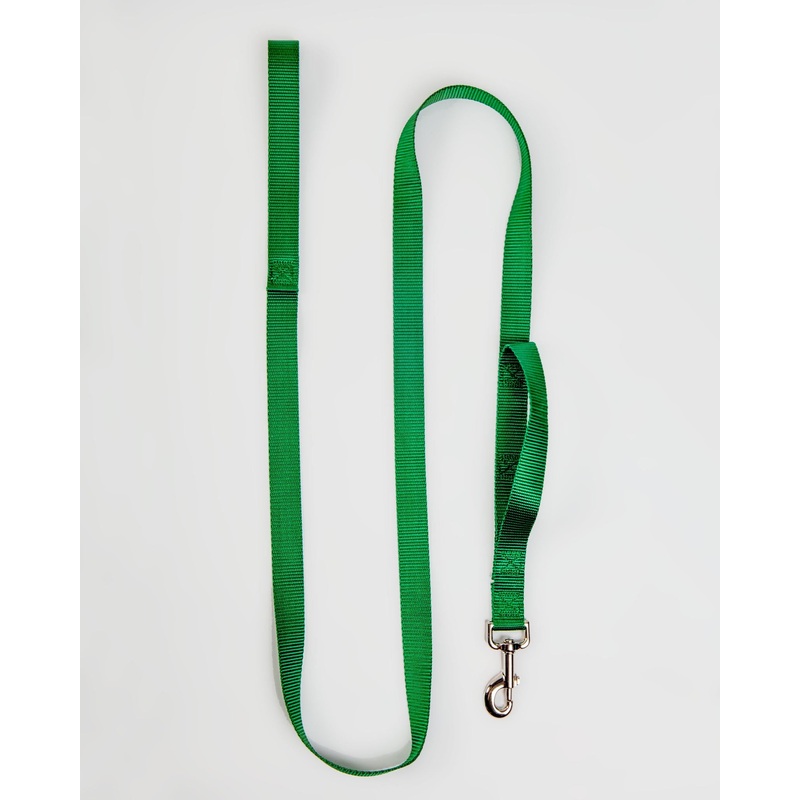 Nylon Dog Leash in Hunter Green (Made in the USA)