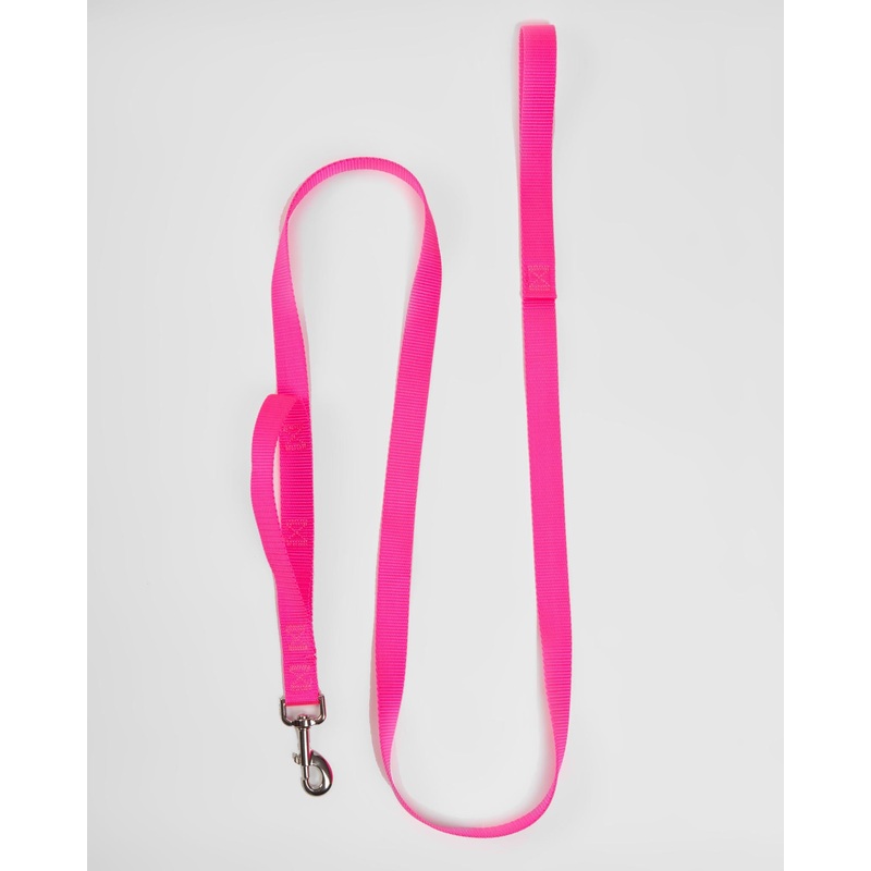 Nylon Dog Leash in Neon Pink (Made in the USA)