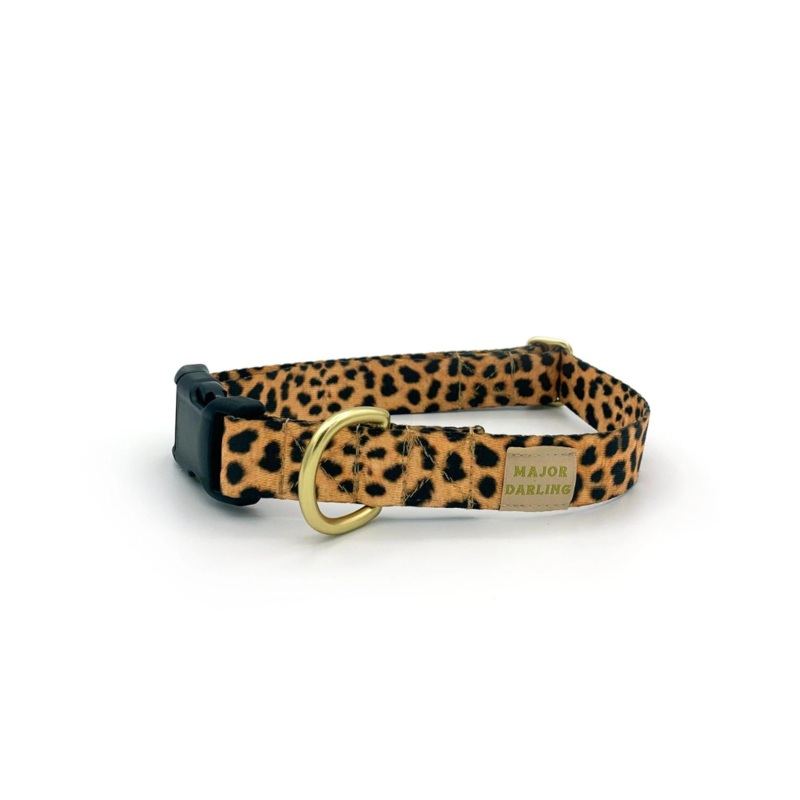 Side-Release Buckle Dog Collar in Leopard