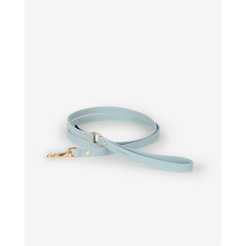 Sky Blue Nara Leather Dog Leash with Brass Hardware (Made in Italy)