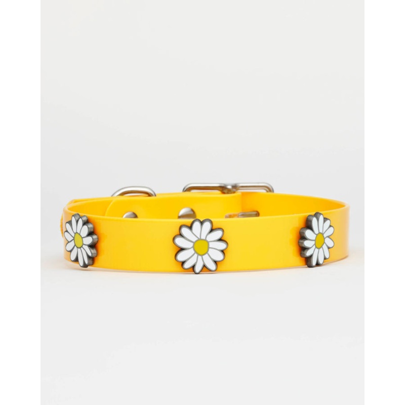 The Daisy Hydro Dog Collar (Made in Canada)